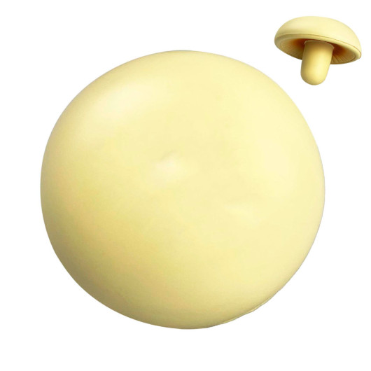 Stress Mushrooms Top